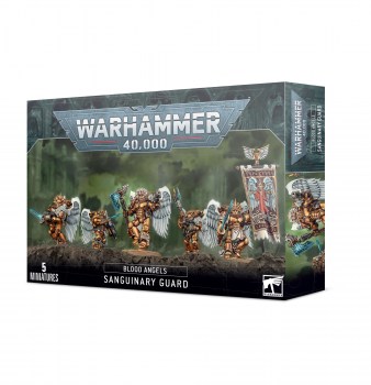 https___trade.games-workshop.com_assets_2020_09_E-B200b-41-08-99120101356-Blood Angels Sanguinary Guard